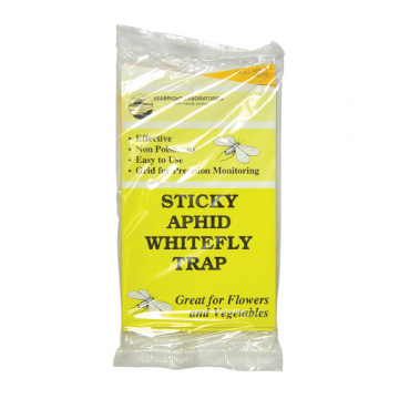Yellow Sticky Traps 5 Pack
